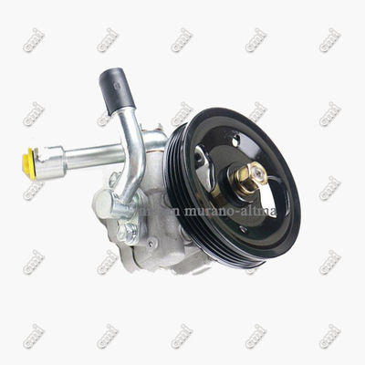 Remplacement de pompe de direction assistée de Nissan Murano pour Nissan Murano-Altma
